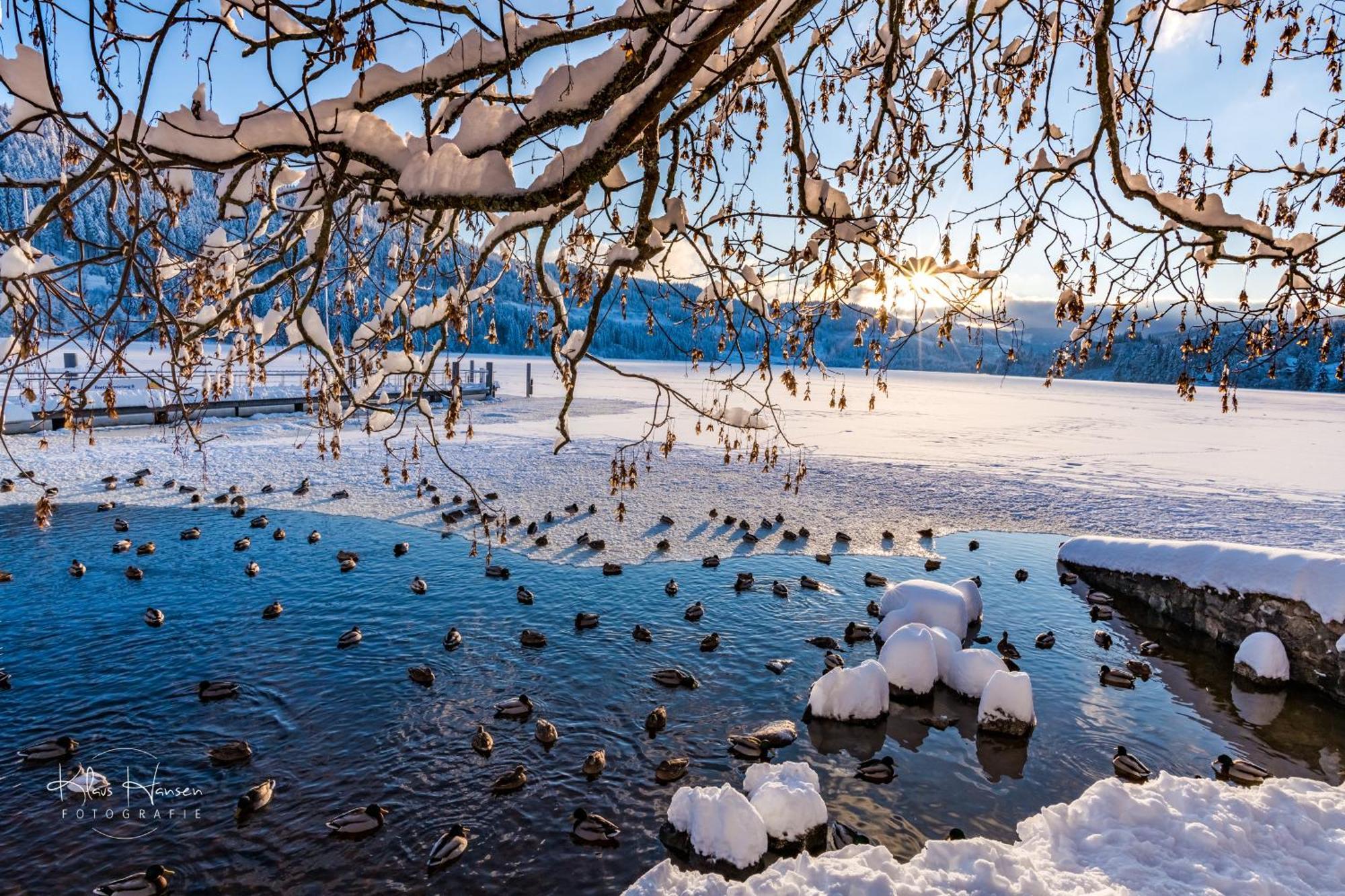 Kurhotel Schluchsee App 1511 - Schwarzwaldhirsch - Mit Innenpool Und Sauna, Schluchsee Exteriér fotografie